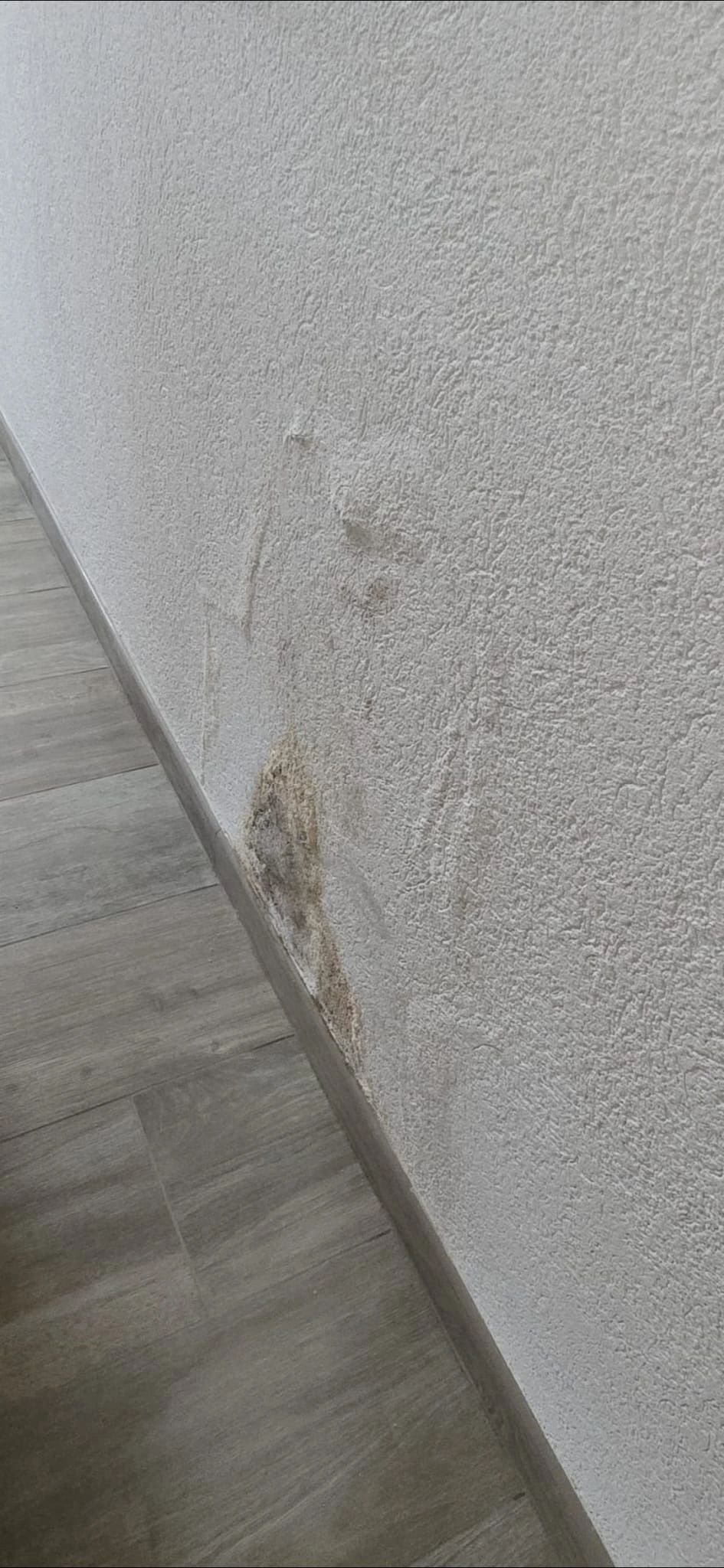 Dégât des eaux - Rénovation plâtrerie Martigny