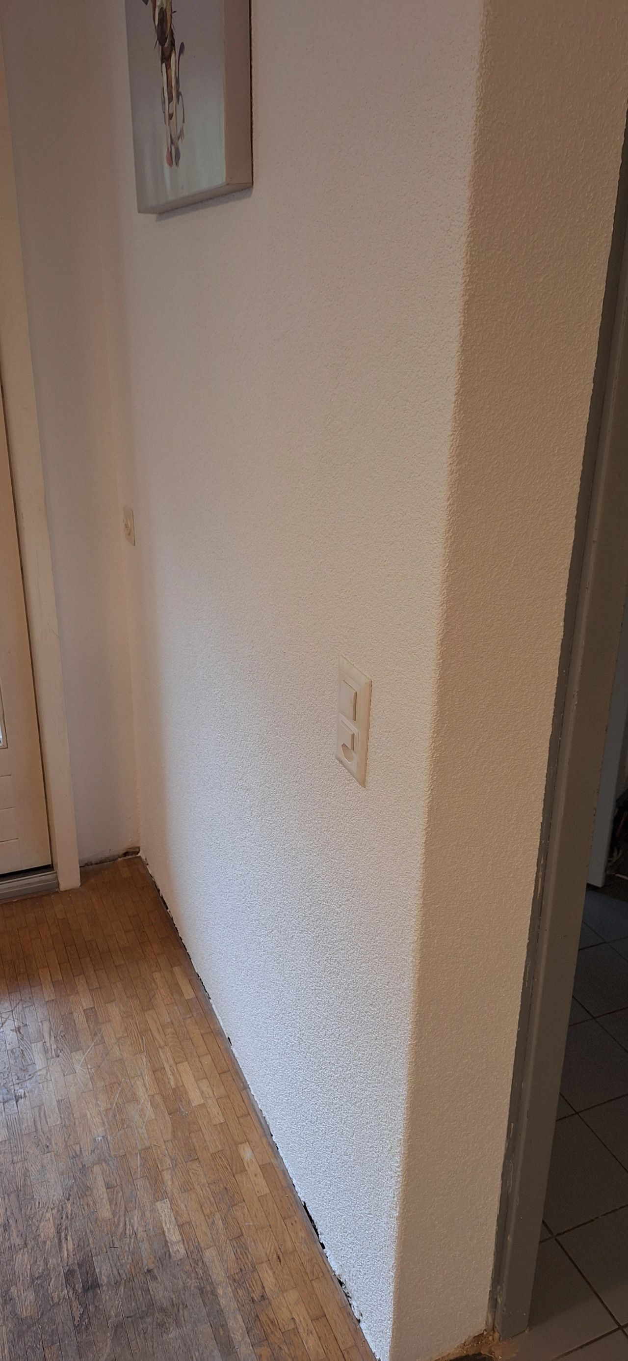 Crépis / Rustique - Rénovation plâtrerie Martigny