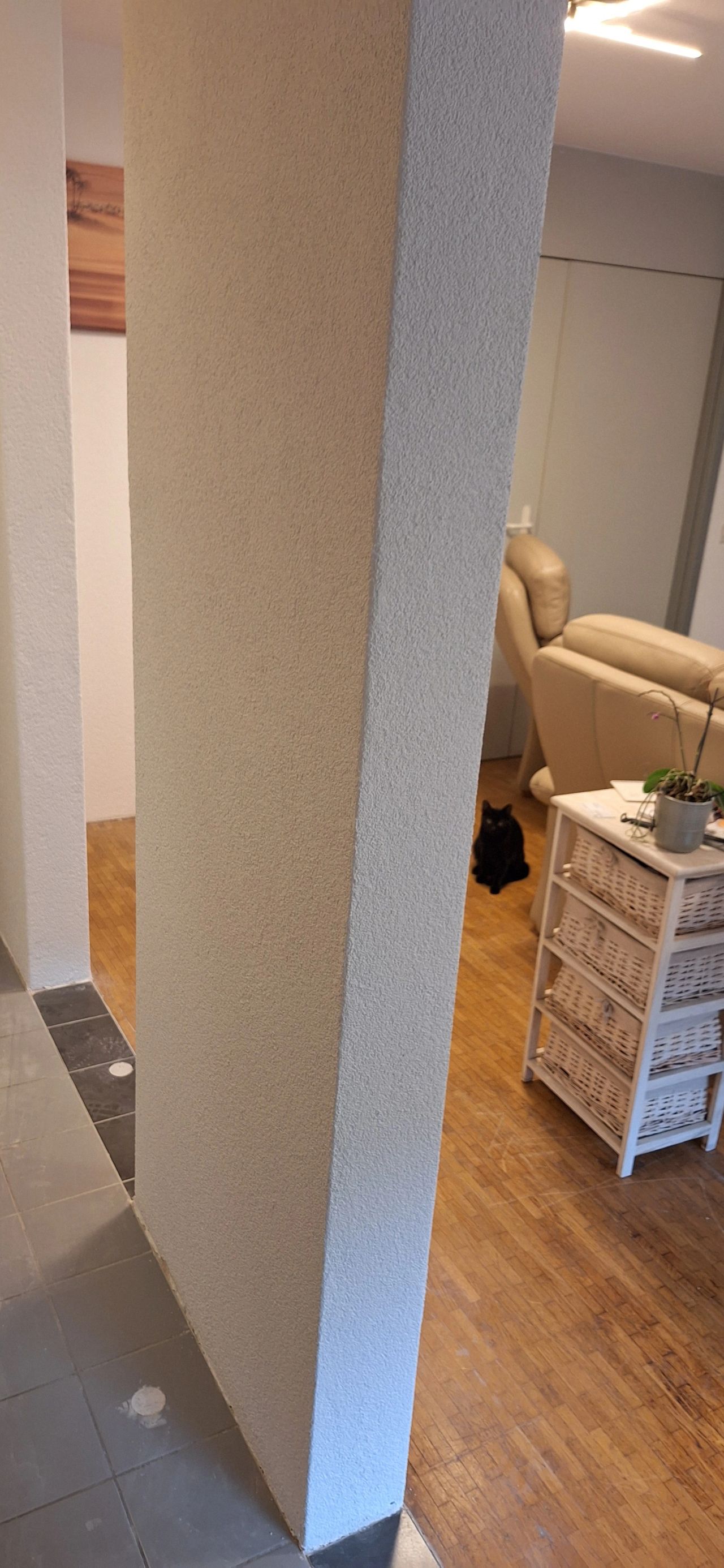 Crépis / Rustique - Rénovation plâtrerie Martigny